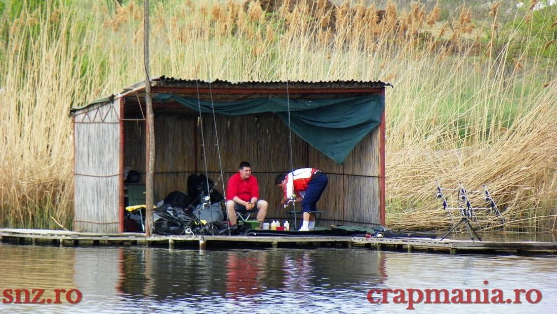 GREENFISH 2 - 1000247.jpg